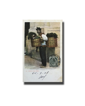 Malta Postcard Vincenzo Galea Grass Seller Used With Stamp Undivided Back Unappropriated