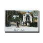 Malta Postcard Vincenzo Galea Maglio Gardens Used With Stamp Undivided Back