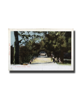 Malta Postcard Vincenzo Galea St Antonio Gardens Used With Stamp Undivided Back