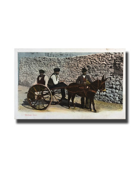 Malta Postcard Vincenzo Galea Maltese Cart New Unappropriated Undivided Back