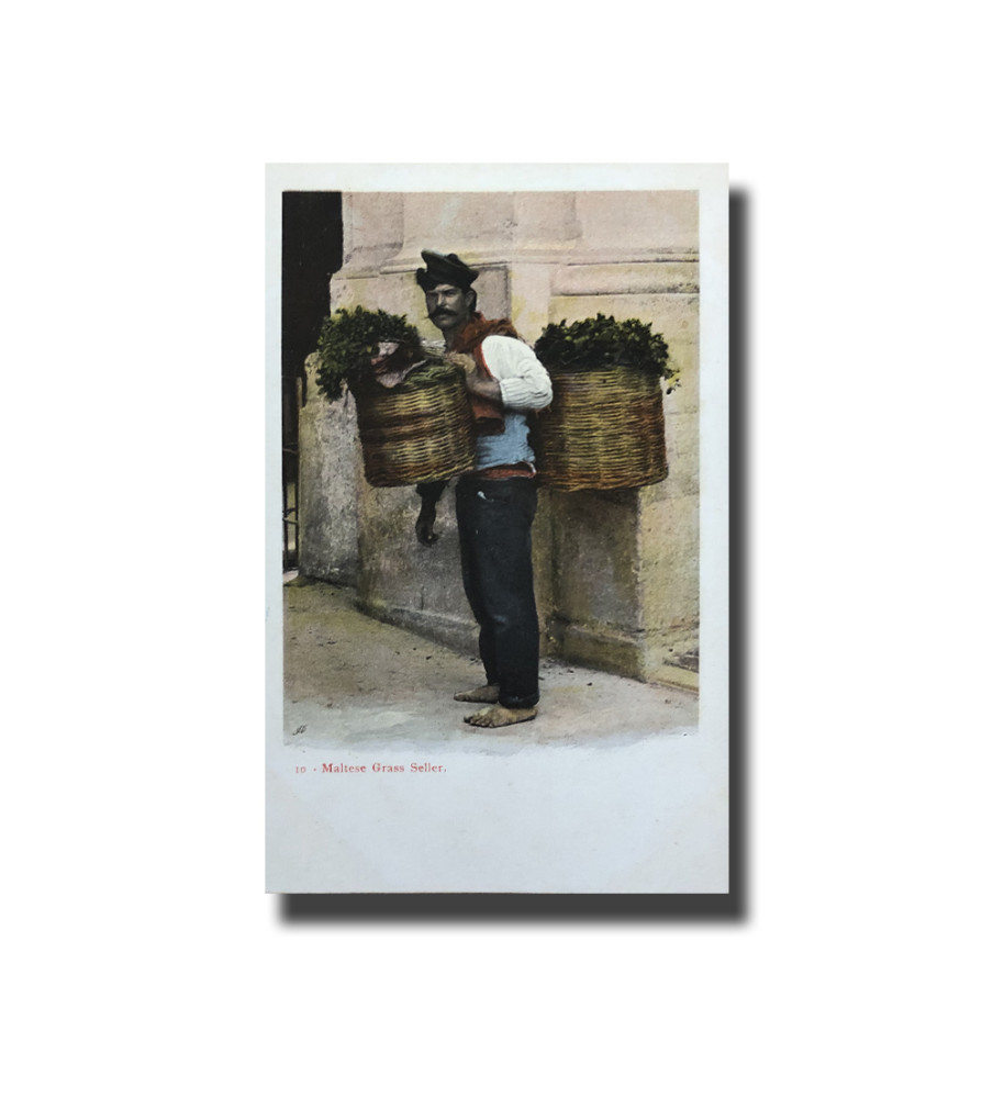 Malta Postcard Vincenzo Galea Grass Seller New Unappropriated Undivided Back