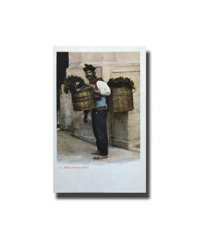 Malta Postcard Vincenzo Galea Grass Seller New Unappropriated Undivided Back