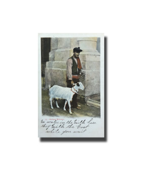 Malta Postcard Vincenzo Galea Milkman New Unappropriated Undivided Back V2