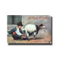 Malta Postcard Tucks Maltese Milkman Happy Christmas Used With Stamp