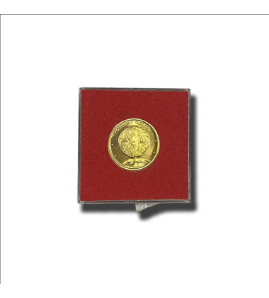 1975 Vatican Medal Pope Paul VI Gold Gilt