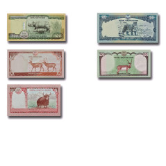2019-2020 Nepal Set of 5 Rupees Banknote Uncirculated