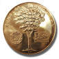 USA Medal American Revolution Bicentennial George Washington 35mm Gold Gilt