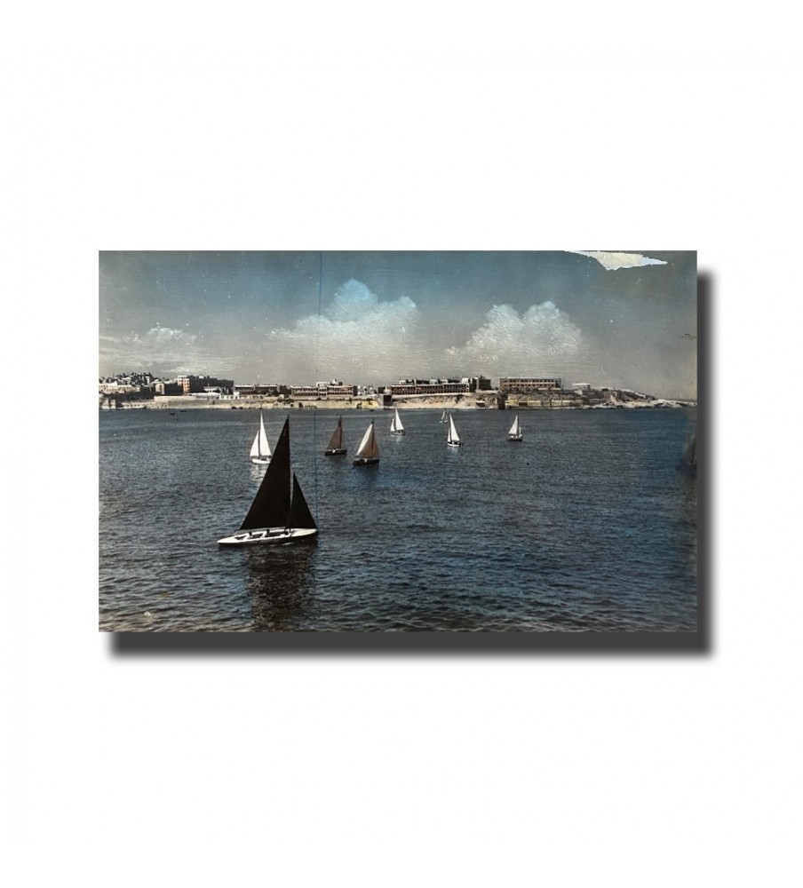 Malta Postcard - Sailing of Marsamuxetto Harbour, New Unused, Vela Photo