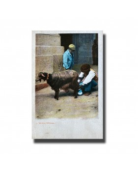 Malta Postcard - Maltese Milkman, New Unused