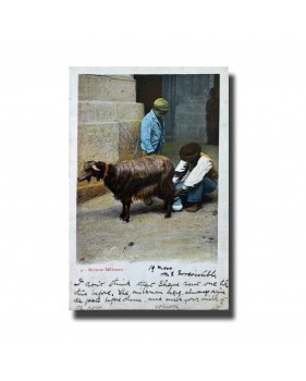 Malta Postcard - Maltese Milkman, Used with Cancellation