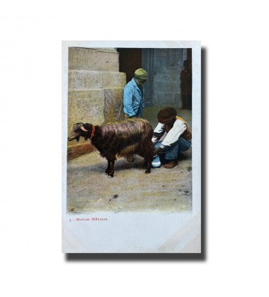 Malta Postcard - Milkman, New Unused