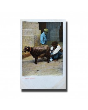 Malta Postcard - Milkman, New Unused