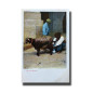 Malta Postcard - Milkman, New Unused