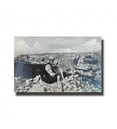 Postards, Postcards Malta, Antique Malta Postcard, Malta Photo Postcard,