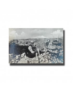 Postards, Postcards Malta, Antique Malta Postcard, Malta Photo Postcard,